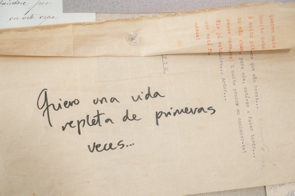 Hoss Intropia tweet media