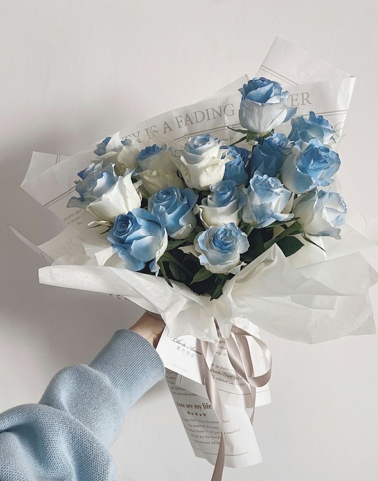 ᒍOᒪY tweet media