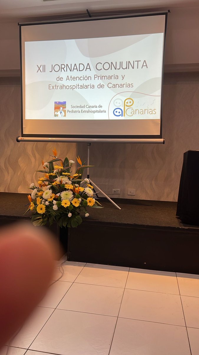 XII Jornadas conjuntas de AP y Extrahospitalaria de Canarias.
Conferencia inaugural María Aparicio, pediatría en Europa situación y retos. #XIIJCPediatriaCanarias