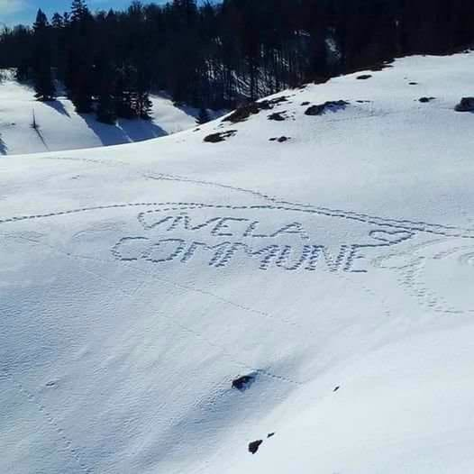 polemix's tweet image. Les Bronzés font Trotsky