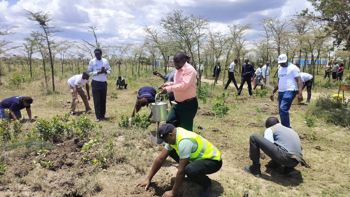 🌱💧 Planting for a Water-Secure Future!

In preparation for World Water Day 2025, themed "Glacier Preservation," WaterFund has been planting trees in schools across Nanyuki🌳❄️. Forests play a vital role in regulating water cycles, protecting glaciers, &amp; combating climate change