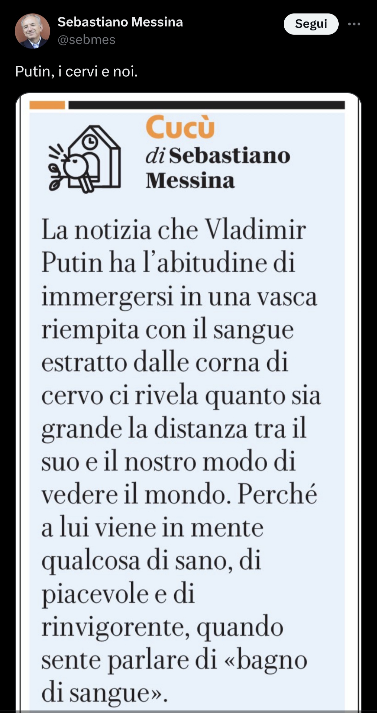 Immagine