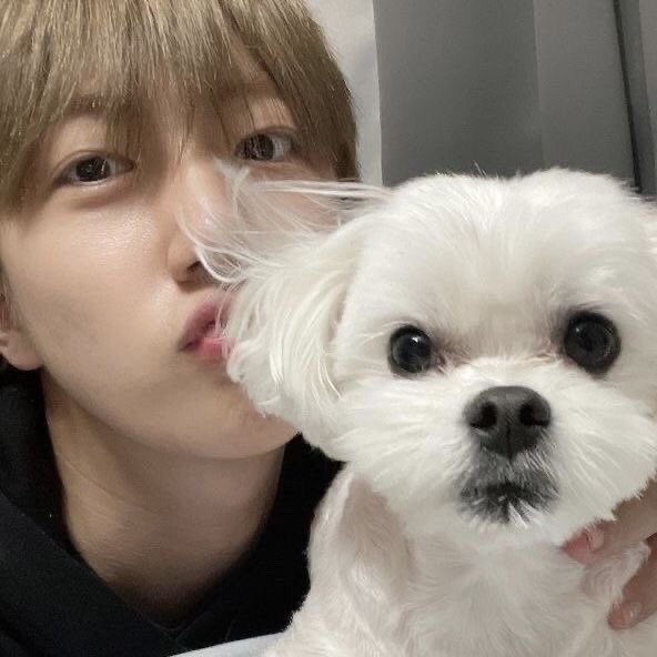 #깨물어주고싶은_함원진_생일
생일축하해요!!