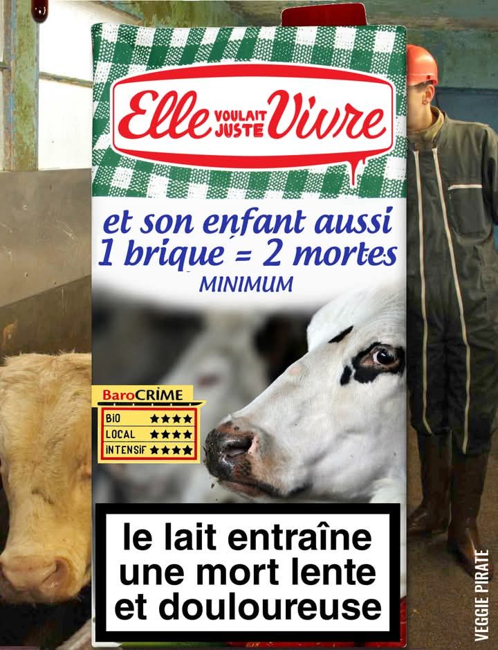 NonHumain's tweet image. #ProduitsLaitiers #élevage