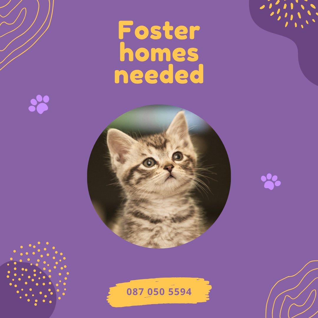 Roscommon SPCA is looking for foster caregivers for cats and kittens, especially with kitten season just around the corner.  𝐅𝐎𝐒𝐓𝐄𝐑 𝐈𝐍𝐐𝐔𝐈𝐑𝐘 𝐅𝐎𝐑𝐌
form.jotform.com/241662838137361
