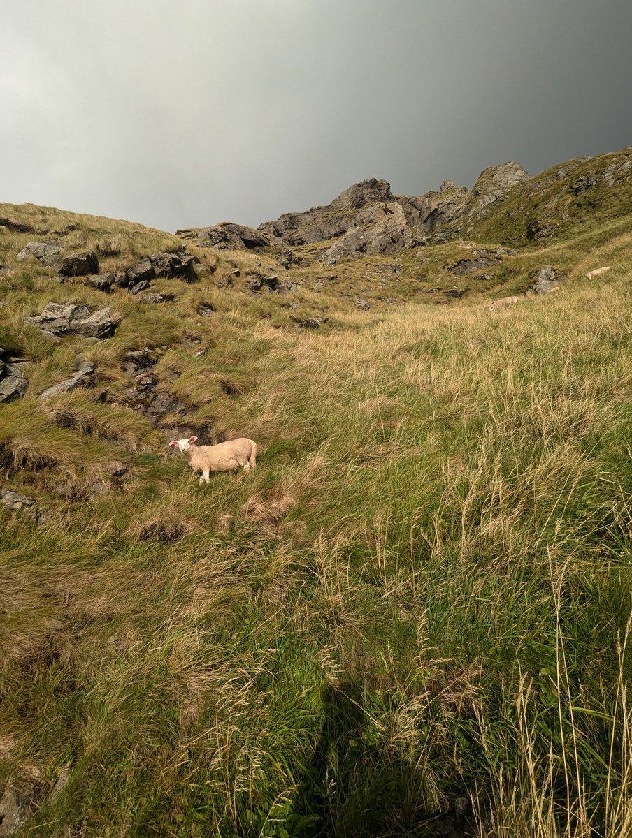 solcorporal's tweet image. gm fam 🫡

say it back if you're hustling today 🚀