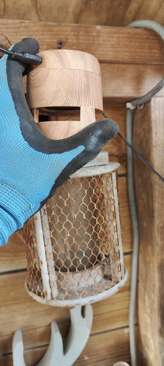 Merch van #WCEU19 2019 doet het nog steeds!
Hangt al die jaren in onze veranda heeft alle stormen en weersinvloeden getrotseerd!

Toppertje dit!

#box #merch #buitenleven #wordcamp