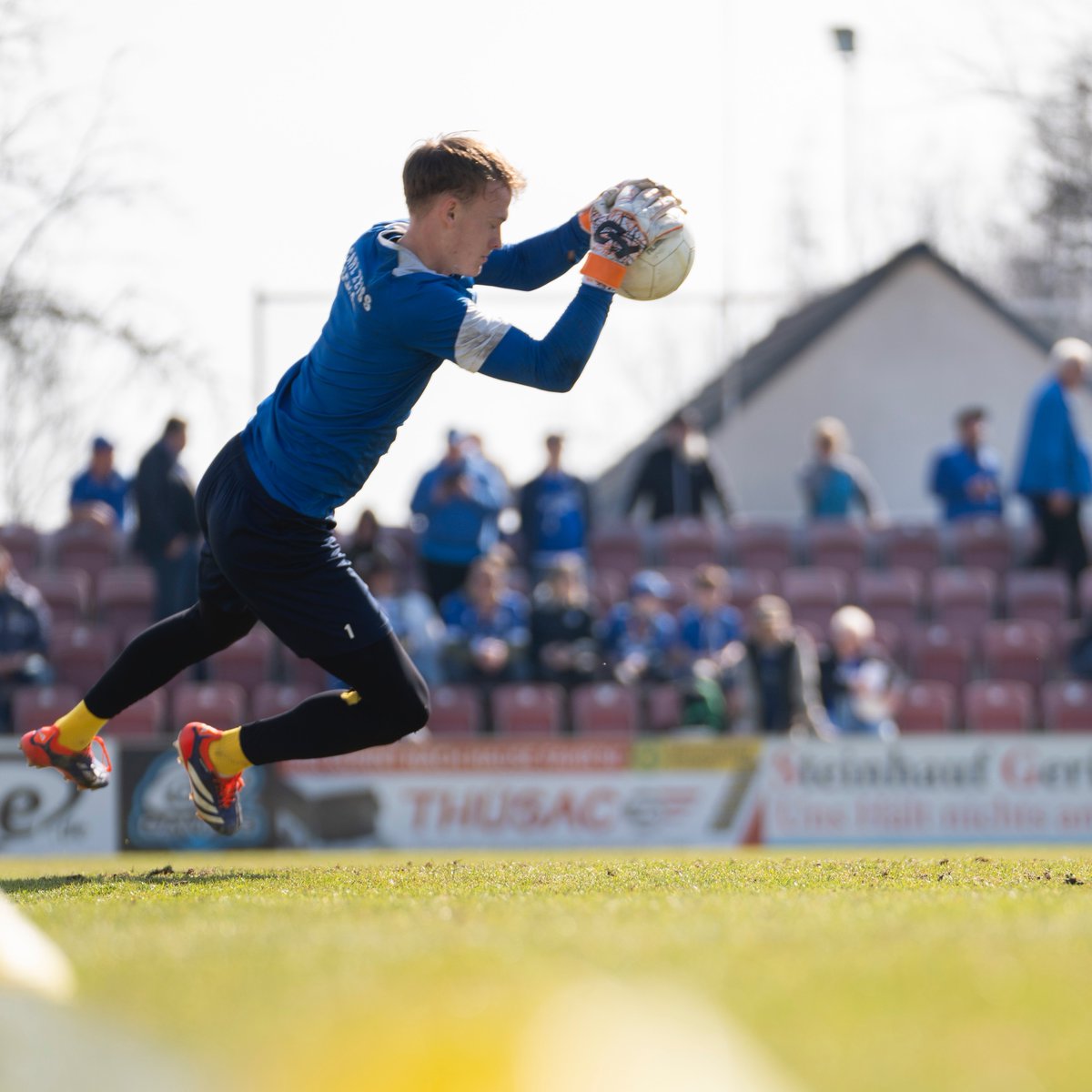 fccarlzeissjena's tweet photo. Warm-Up ✅
#ZFCFCC https://t.co/u6VCbbc4bH