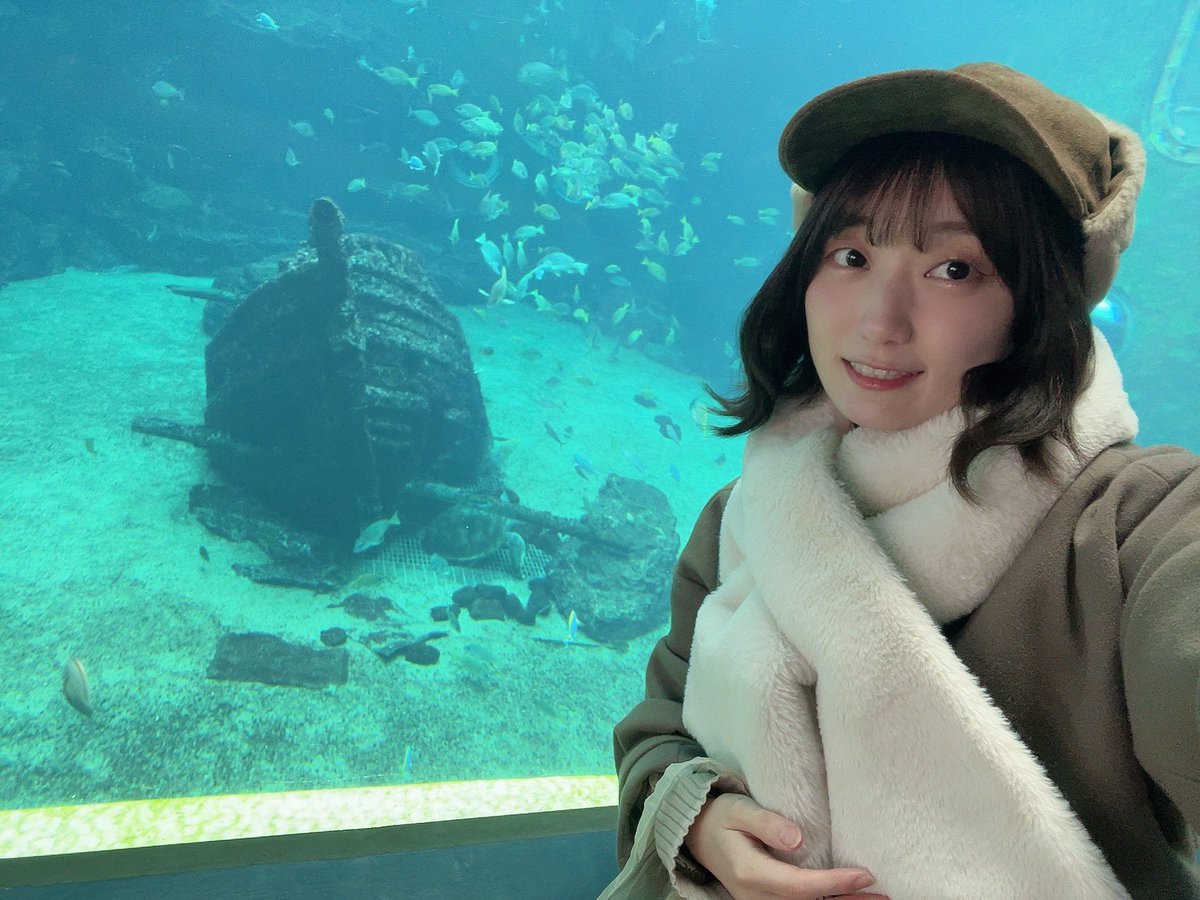よく見てください。
カメさん🐢突き刺さってます。
#思い出 #ボブ #一重 #水族館