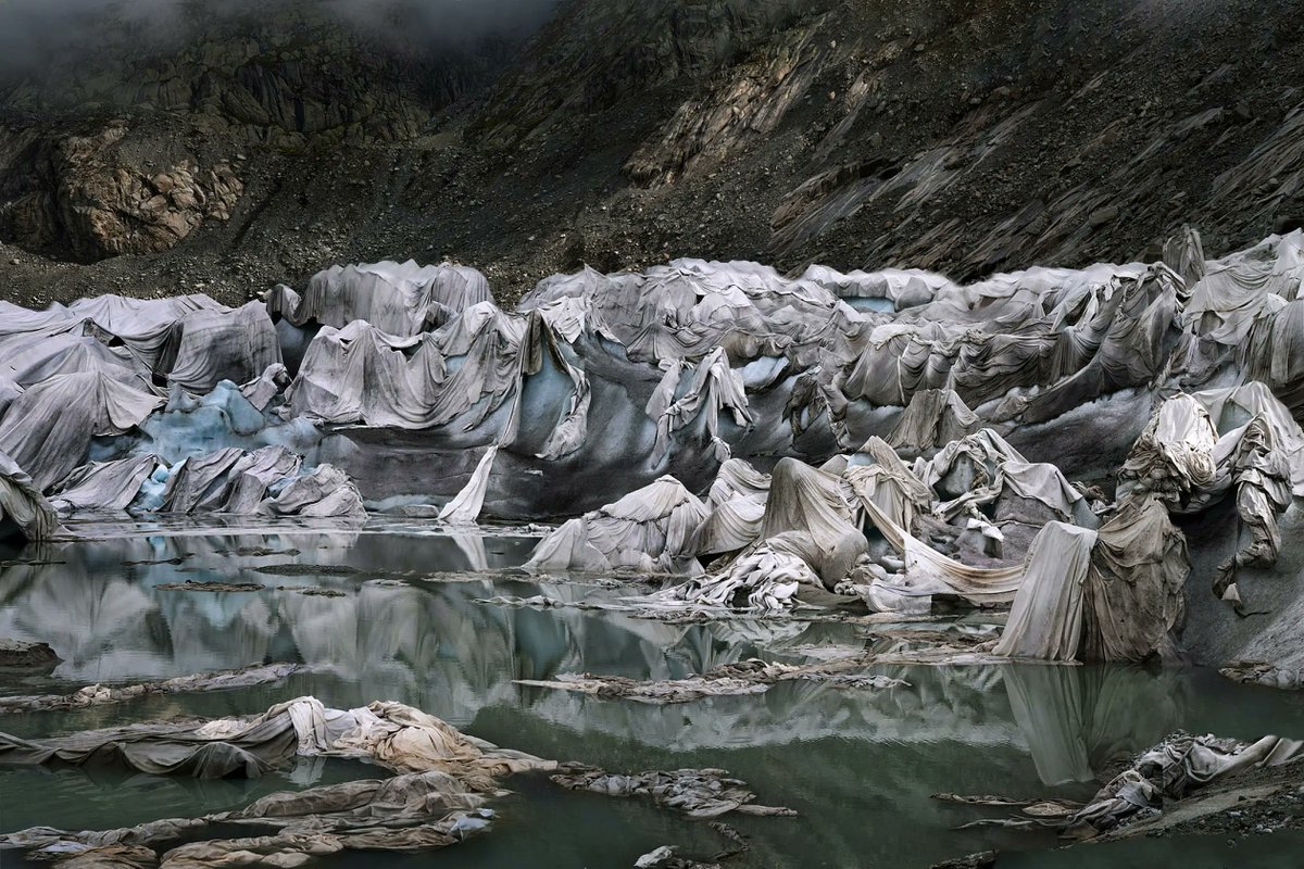 Melaine Le Roy tweet media