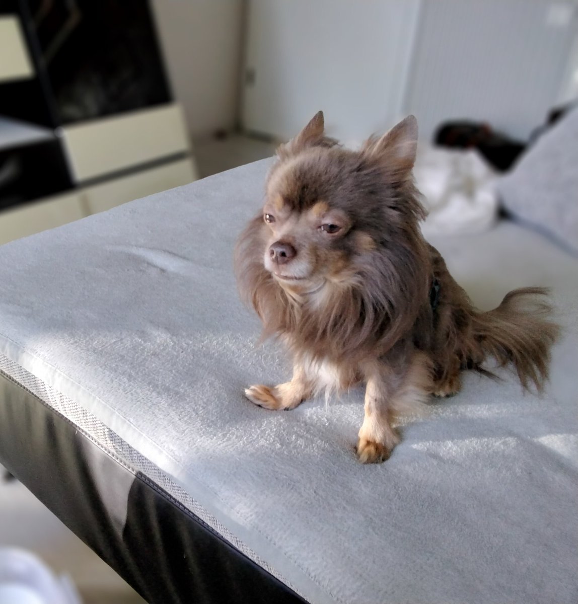 Bei Oma ist es doch am schönsten. 🤣