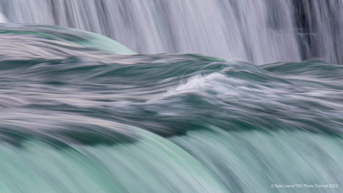 The Nature Conservancy (@nature_org) on Twitter photo We're joining forces with <a href="/Kia/">Kia America</a> to protect and restore Earth's freshwater ecosystems! đź’§
Kia is contributing $3M to <a href="/nature_org/">The Nature Conservancy</a> to help us protect 1M km of rivers and streams, and conserve 30M hectares of lakes, wetlands, deltas, and floodplains by 2030. #AcceleratetheGood We're joining forces with <a href="/Kia/">Kia America</a> to protect and restore Earth's freshwater ecosystems! đź’§
Kia is contributing $3M to <a href="/nature_org/">The Nature Conservancy</a> to help us protect 1M km of rivers and streams, and conserve 30M hectares of lakes, wetlands, deltas, and floodplains by 2030. #AcceleratetheGood