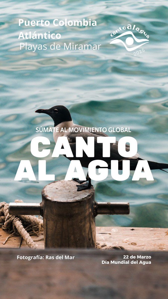 Cantoalagua's tweet image. Hoy celebramos el #DiaMundialDelAgua con cientos de Cantos al Agua  en varios países, nos unimos en una sola voz para conectarnos con la esencia de la vida del Planeta, somos Agua. #WorldWaterDay #Cantoalagua2025