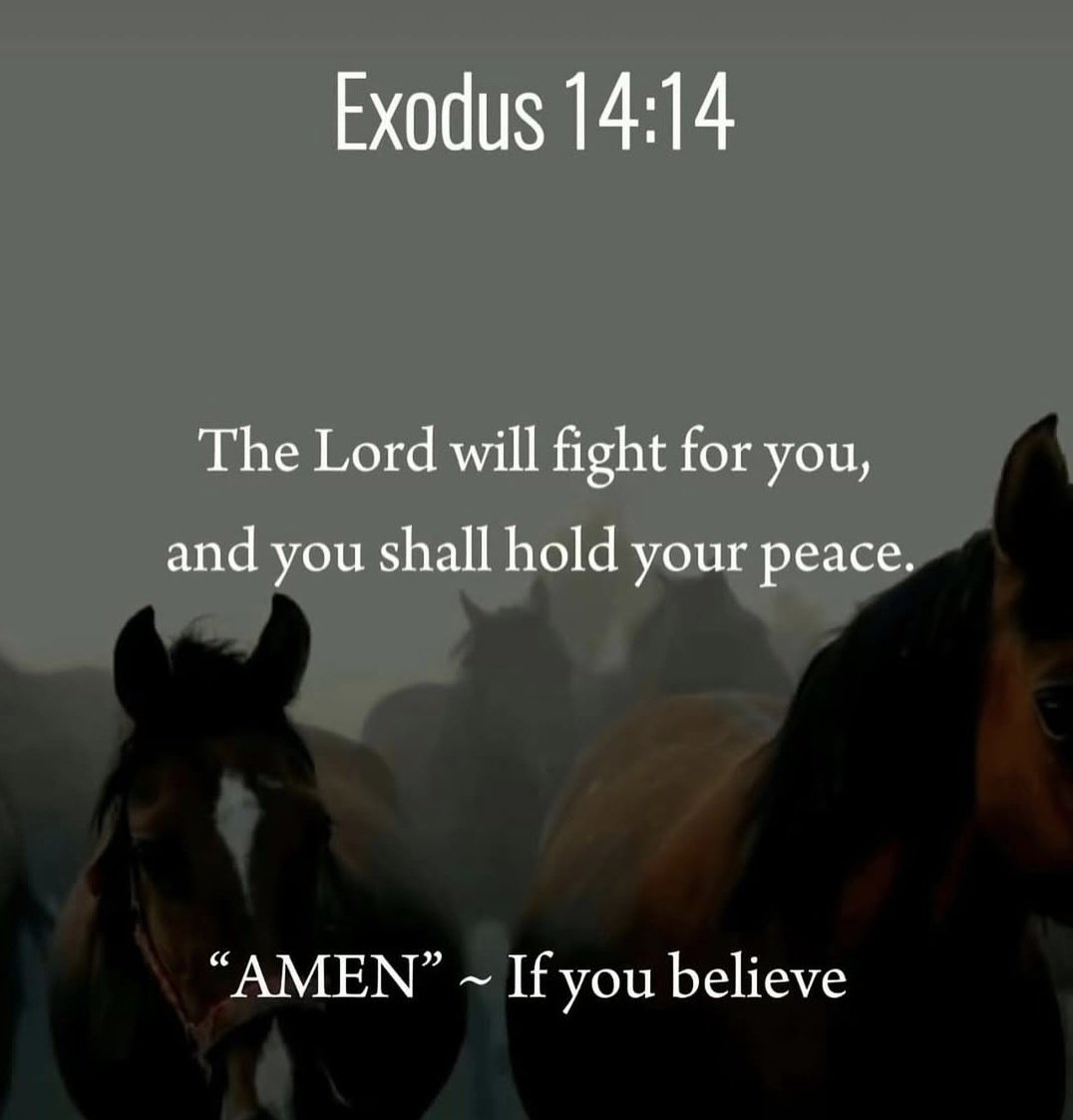 Exodus 14: 14

The LORD will fight for you; you need only to be still