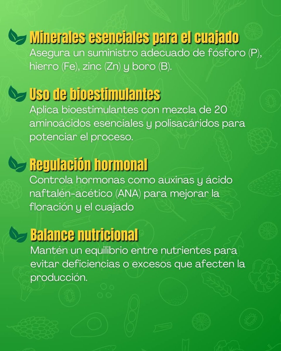 Un manejo adecuado de estos factores garantizará un cuajado óptimo y una mejor producción en tus berries. 🌿🍓

#Berries #BioestimulandoAndo #NutricionVegetal #BioestimulacionVegetal #mauricionavarro