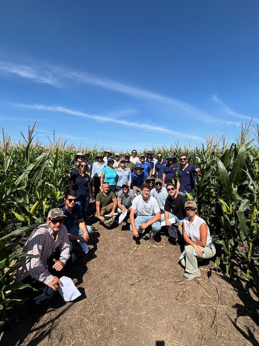 Maltese_Nico's tweet image. Taller de intercambio abierto con equipo FAUBA en @INIA_UY
Desafíos en la expresión de prolificidad en maíz: perspectivas desde el manejo de N 🌽
“Estrategias para el diseño de sistemas adaptados a ambientes restrictivos”