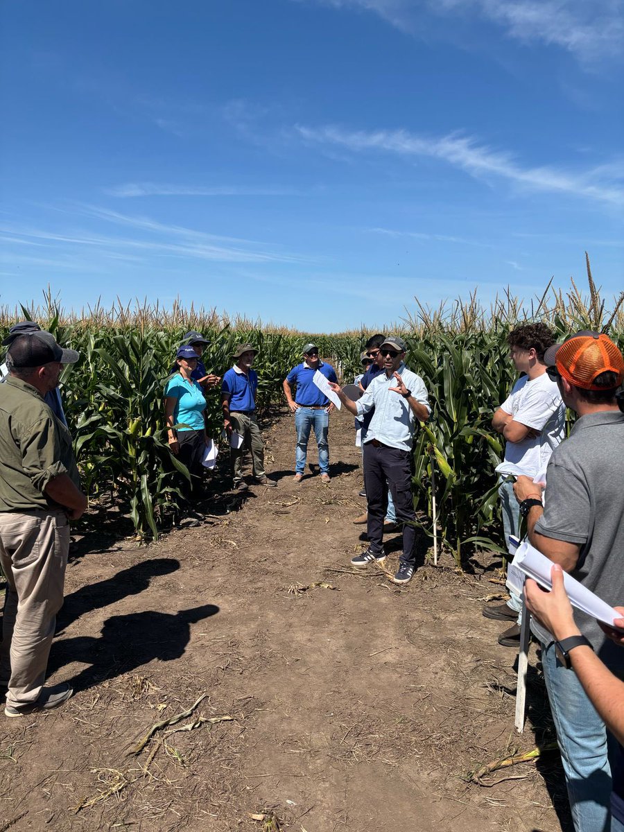 Maltese_Nico's tweet image. Taller de intercambio abierto con equipo FAUBA en @INIA_UY
Desafíos en la expresión de prolificidad en maíz: perspectivas desde el manejo de N 🌽
“Estrategias para el diseño de sistemas adaptados a ambientes restrictivos”
