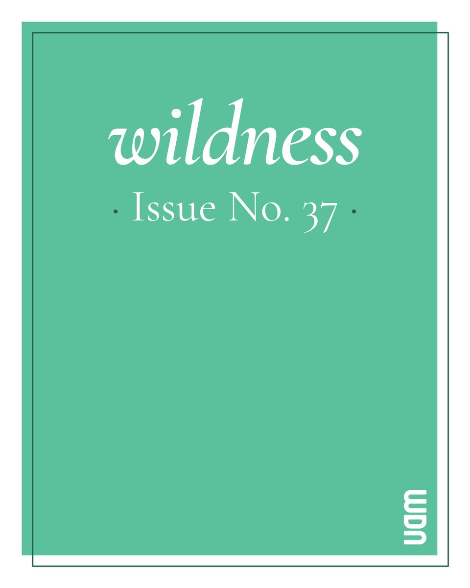 WILDNESS. a literary journal (@wildnessjournal) on Twitter photo Issue No. 37 of WILDNESS is out! π±
Featuring new work from <a href="/alineailinh/">aline</a>, <a href="/SaddiqDzukogi/">Saddiq Dzukogi</a>, <a href="/FleursduMai/">Dr. Mai-Linh Hong (@FleursduMai.bsky.social)</a>, <a href="/meherness/">Meher (meher.bsky)</a>, <a href="/megg_bean/">Megan Pinto πππ</a> + π
readwildness.com/37 Issue No. 37 of WILDNESS is out! π±
Featuring new work from <a href="/alineailinh/">aline</a>, <a href="/SaddiqDzukogi/">Saddiq Dzukogi</a>, <a href="/FleursduMai/">Dr. Mai-Linh Hong (@FleursduMai.bsky.social)</a>, <a href="/meherness/">Meher (meher.bsky)</a>, <a href="/megg_bean/">Megan Pinto πππ</a> + π
readwildness.com/37