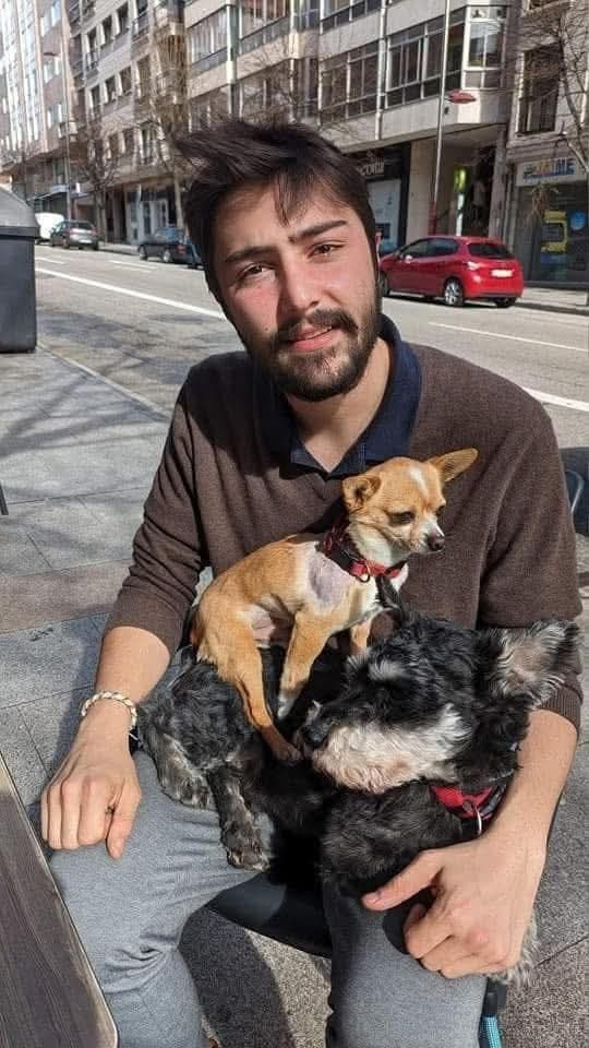 Succede a Vigo. Il veterinario chiede al proprietario 700€ per curare il chihuahua ferito gravemente. Lui lo getta nella spazzatura. Un giovane cerca il marsupio perso e sente lamenti dal cassonetto. Apre e trova il cagnolino, lo raccoglie e lo fa curare. Onore a VICTOR CORRALES