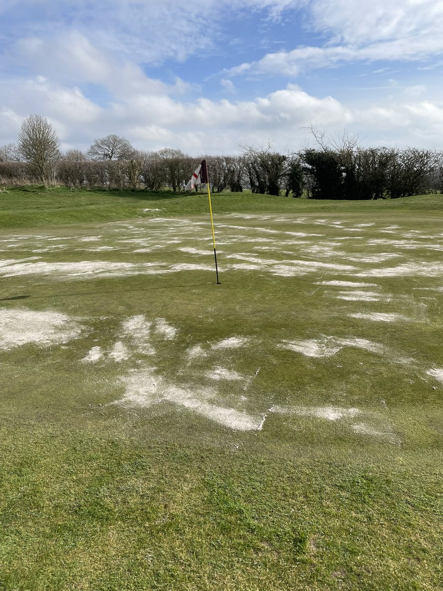 Alanfaulkner (@alan90947619) on Twitter photo <a href="/PortalGolfClub/">Portal Golf Club</a> A massive well done to all the green staff at Portal today. After some mindless vandalism to our greens. You lads have done an amazing job this morning. A big thank you from everyone involved at the club ๐๐๐๐๐๐ <a href="/PortalGolfClub/">Portal Golf Club</a> A massive well done to all the green staff at Portal today. After some mindless vandalism to our greens. You lads have done an amazing job this morning. A big thank you from everyone involved at the club ๐๐๐๐๐๐