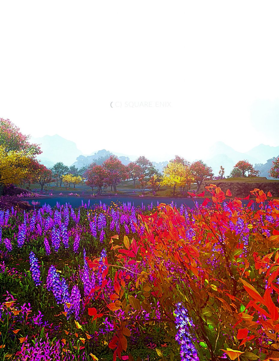 春だから
ねむい
#FF14風景