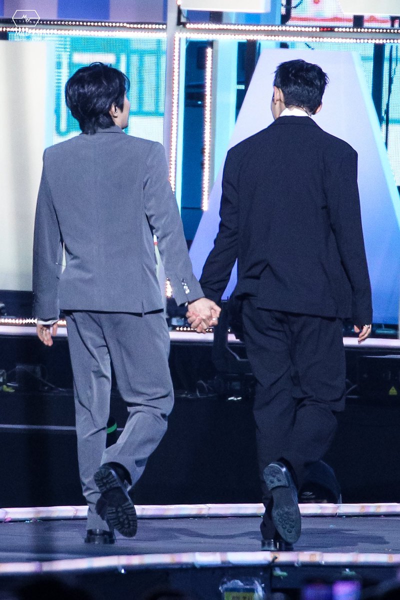 mild x wild tweet media