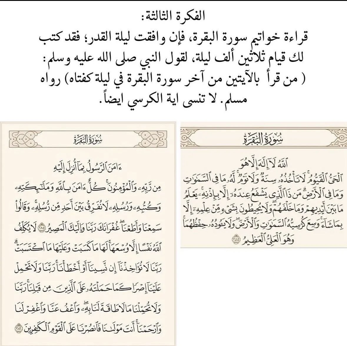 Sar1wr's tweet photo. ليلة القدر ليلة مباركة، خير من ألف شهر. فرصة عظيمة لزيادة الحسنات هذه 10 أفكار لكسب الآجور فيها باذن الله، الله يبلغنا وياكم ليلة القدر يارب https://t.co/1mt3xHuUg0