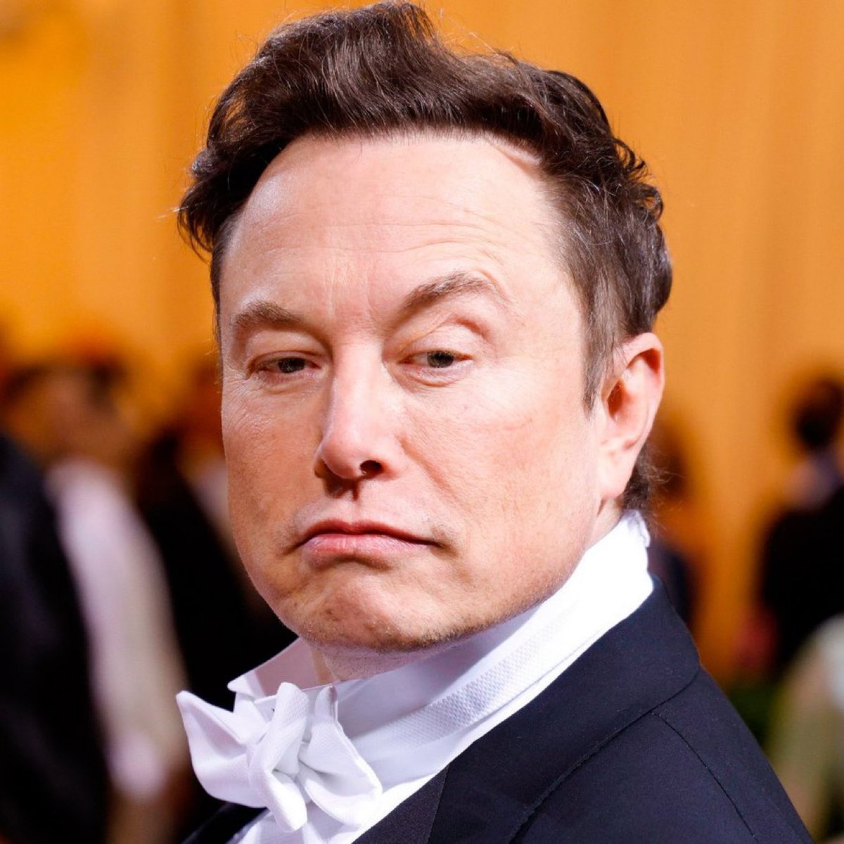 "I'm criticized constantly. I could care less"

- Elon Musk