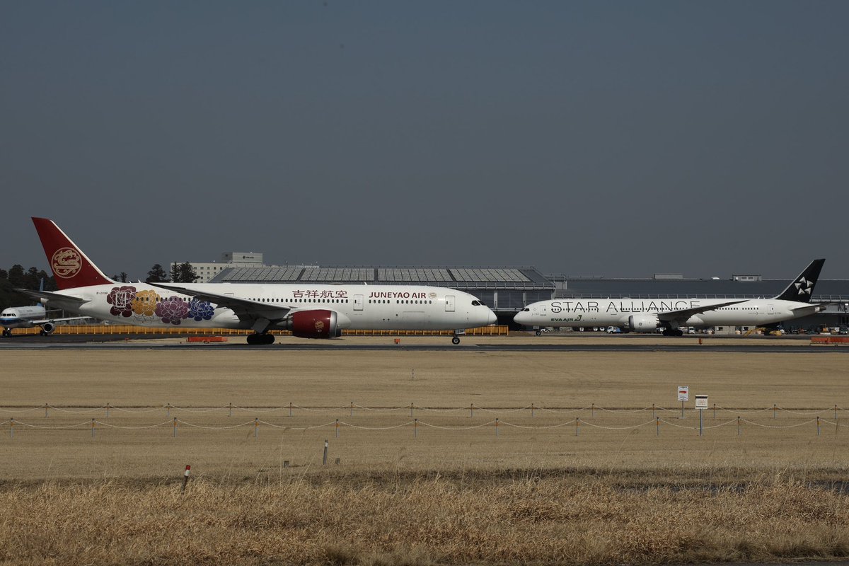 technojumbo747's tweet photo. 最近は飛行機オタクしてないもんで昨今の成田事情には疎いんですが当たりDayってやつだったんですかね
知らんけど https://t.co/1JY3CmjwLL