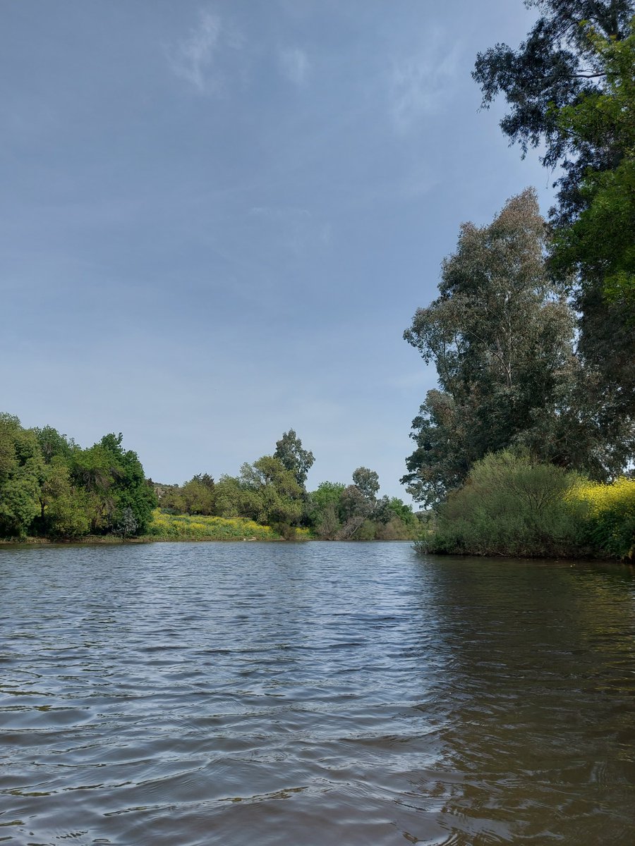 (1/2) Happy World Water Day! 💧🌎
Today, March 22, we celebrate the World Water Day!
This day aims to raise awareness about the importance of the preservation and sustainable management of freshwater resources.
📍Ardila River, Barrancos
