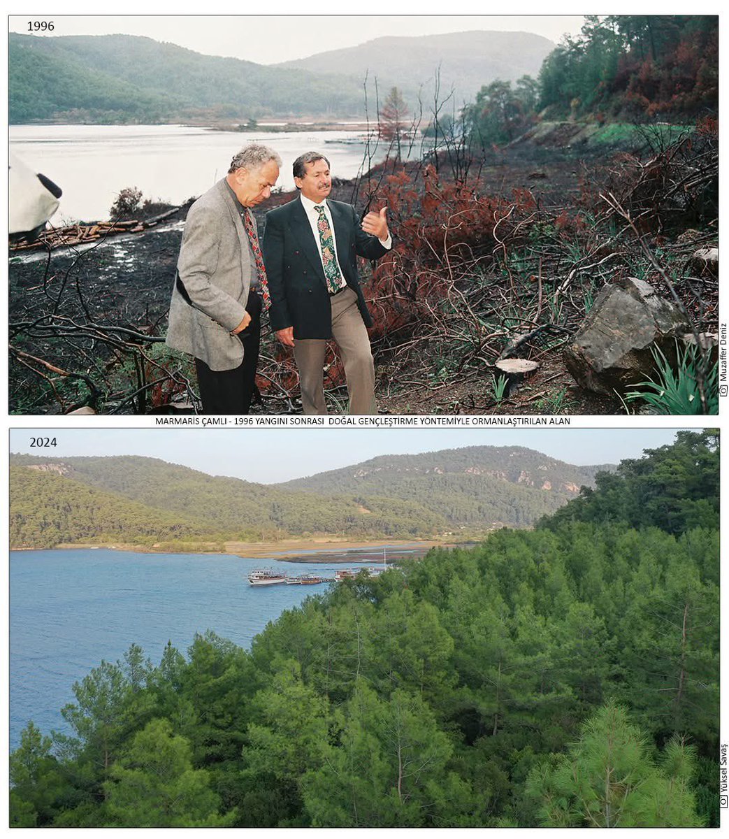 Gökhan ŞAHİN (@sahn8gokhan) on Twitter photo 1996 Yılında Çıkan Büyük #Marmaris yangının sonrası zarar gören alanların yandıktan sonraki ve şimdiki hali. Bu muazzam çalışmaları yapan Meslek büyüklerimize ve Mensubu olmaktan gurur duyduğum <a href="/OGMgovtr/">Orman Genel Müdürlüğü</a> teşkilatıma #Orman Haftasında tekrar teşekkür ederim. #Yangın #Ağaçlandırma 1996 Yılında Çıkan Büyük #Marmaris yangının sonrası zarar gören alanların yandıktan sonraki ve şimdiki hali. Bu muazzam çalışmaları yapan Meslek büyüklerimize ve Mensubu olmaktan gurur duyduğum <a href="/OGMgovtr/">Orman Genel Müdürlüğü</a> teşkilatıma #Orman Haftasında tekrar teşekkür ederim. #Yangın #Ağaçlandırma
