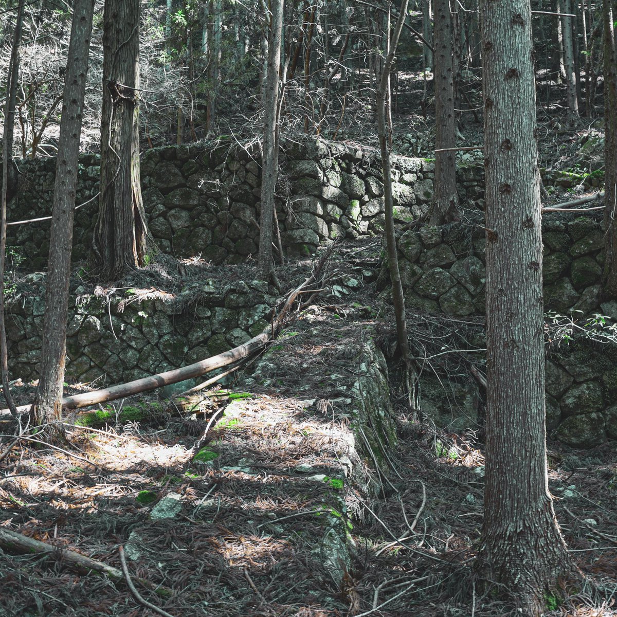 愛知県の最秘境。
天皇が隠れ住んだとされる集落の跡

後日、動画にします。