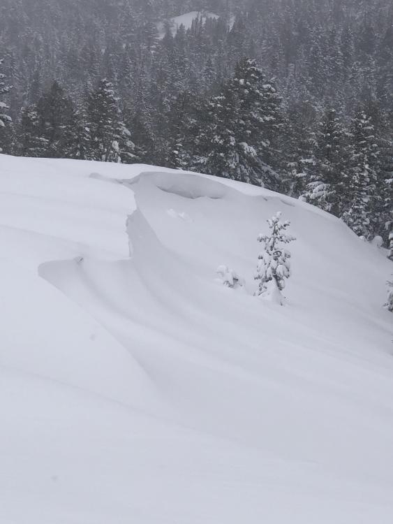 Get the full Avalanche Forecast for March 22nd
mtavalanche.com/forecast

📸 Steep drifted slopes are the most likely place to find trouble today. Photo: K. Allred
