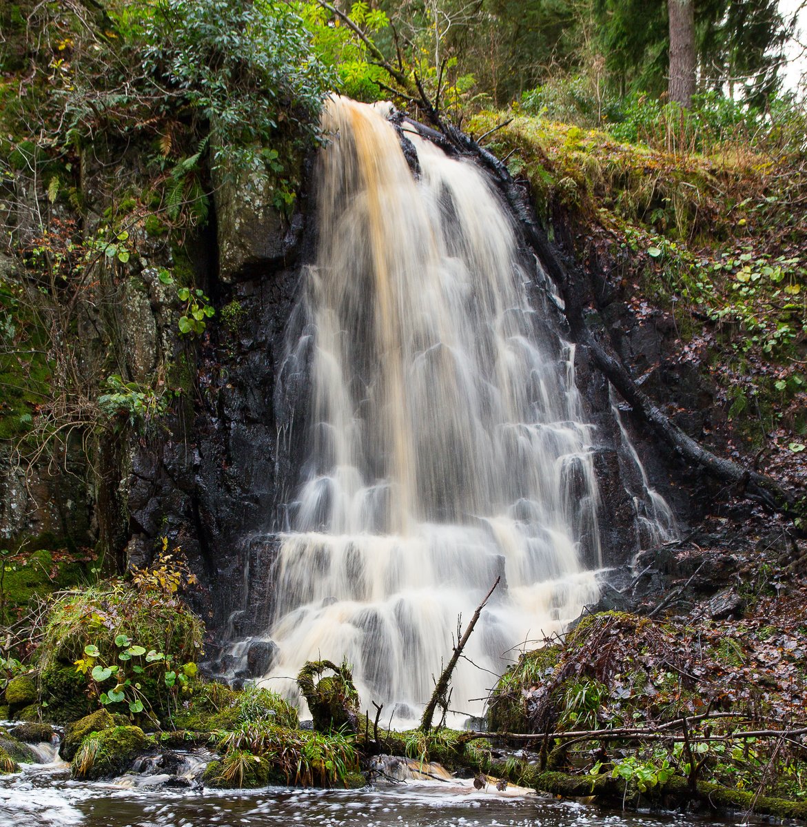 AGU's Eos tweet media