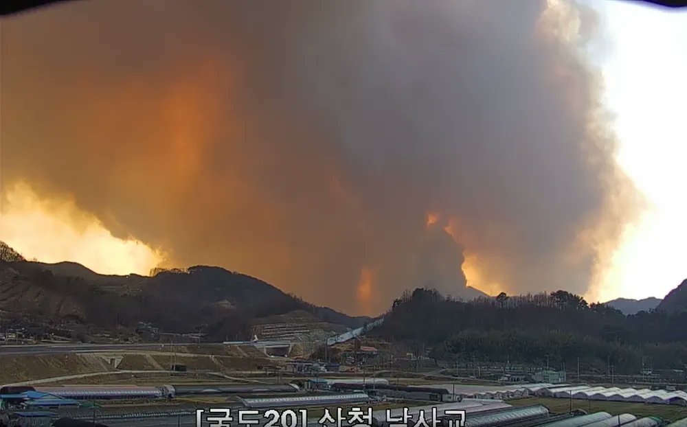 snu0715's tweet photo. 2025년 3월 영남권 산불
3월 21일 산청 산불(산청 하동 산불)
창녕군 산불진화대원 사망

3월 22일 의성 안동 산불
중앙선 안동역 경주역 운행중단, 서산영덕고속도로 일부구간 통행 통제

3월 22일 김해 산불
3월 22일 울산 산불

건조한 상황에서 강풍까지 있다보니 피해가 너무 크네요. 
#산불 https://t.co/MbYBBA3BQh