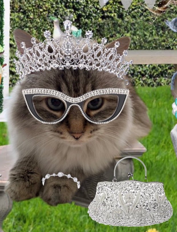 cory20191's tweet image. Hello besties!
It’s my Gotchaversary tomorrow
Been in my forever home since 2016
Olive
#Hedgewatch #HWCafe #Nipclub