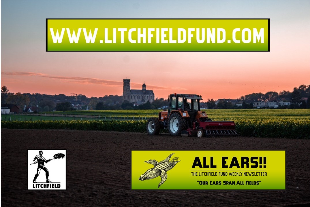 This week's All Ears!!

🌽🌽Petard Thinking🌽🌽
lnkd.in/gUCbyEN6

#cpgindustry #cpgnews #investing #founders #networking #amwriting #investors #entrepreneur #writerscommunity  #writingcommunity