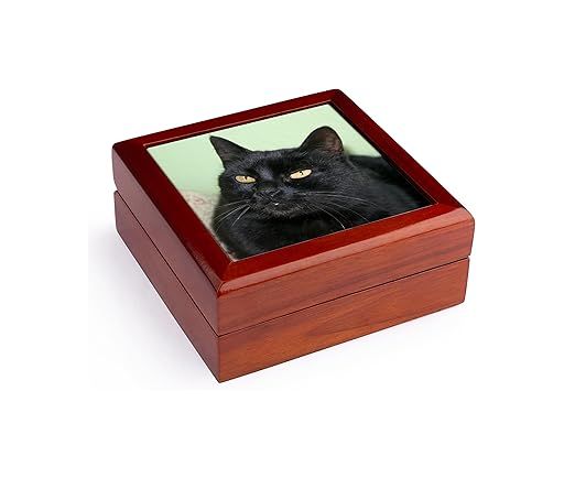TaicheTees's tweet photo. Black Cat Portrait A Black Cat Posing #3dRose #taiche #blackcat #cat #cats #cuteblackcat #catlover #blackcatlover #catlovers #catowners #catlife #meow #blackcatsrule #cutecat #photoportrait #catgifts #gifts #catlover https://t.co/sXKYjhRRsc https://t.co/rk5VTcXtLc