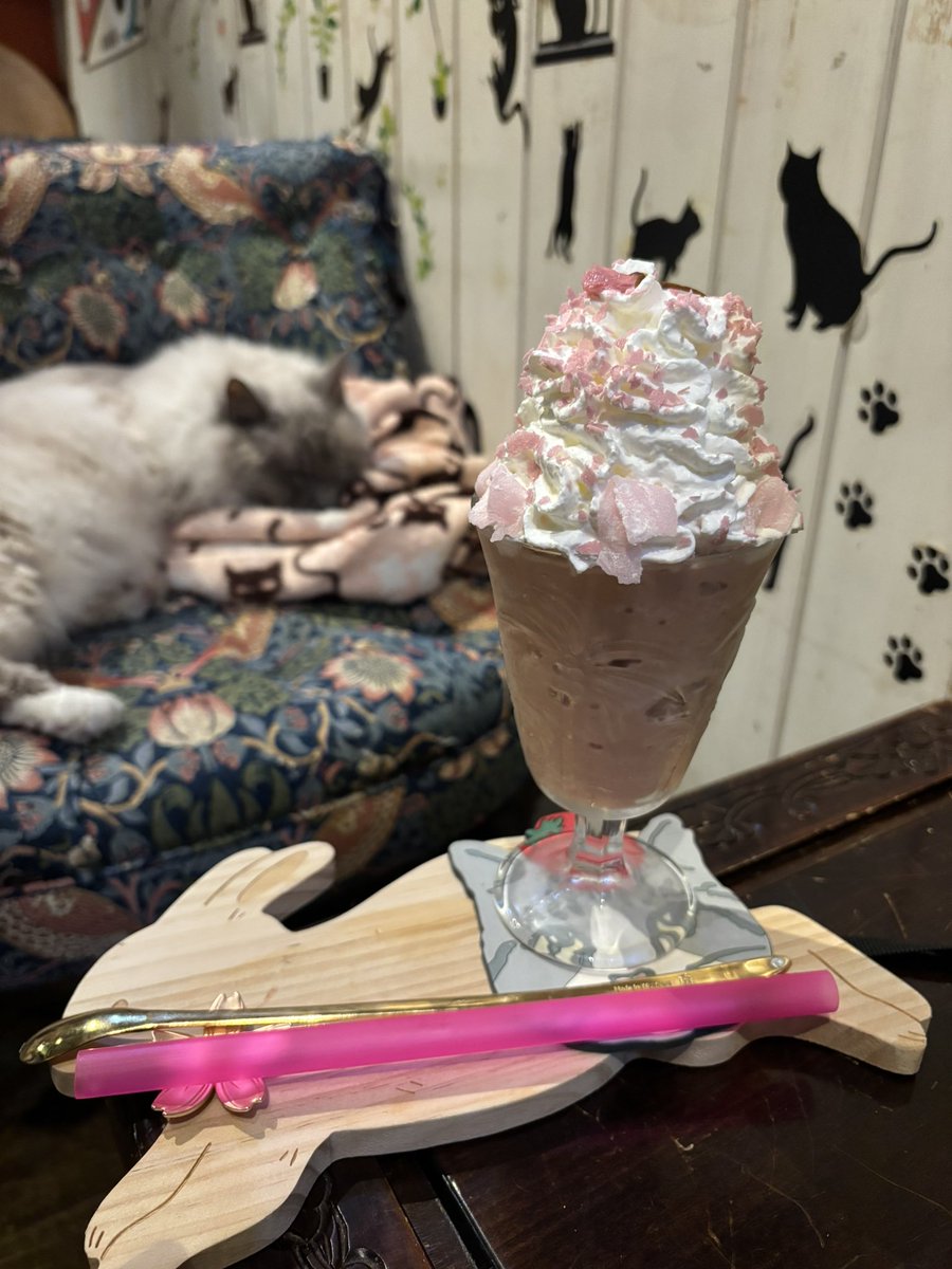 marina_s718's tweet image. 桜もち🌸ふにゃぺちーの🌸美味しかった次はパフェたべる！！！！！
 #猫カフェ猫音