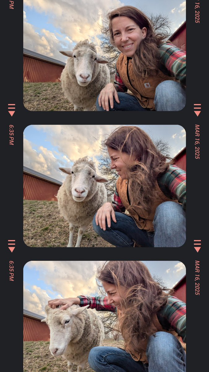 Dr. Julie Gurner tweet media