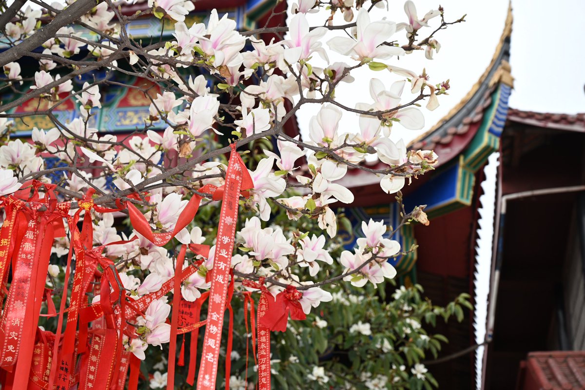 黄推福利内容 - 余榆鱼(沉迷捏脸)的精彩图片 福利姬余榆鱼(沉迷捏脸)分享的黄推图片3 - 网红私拍内容