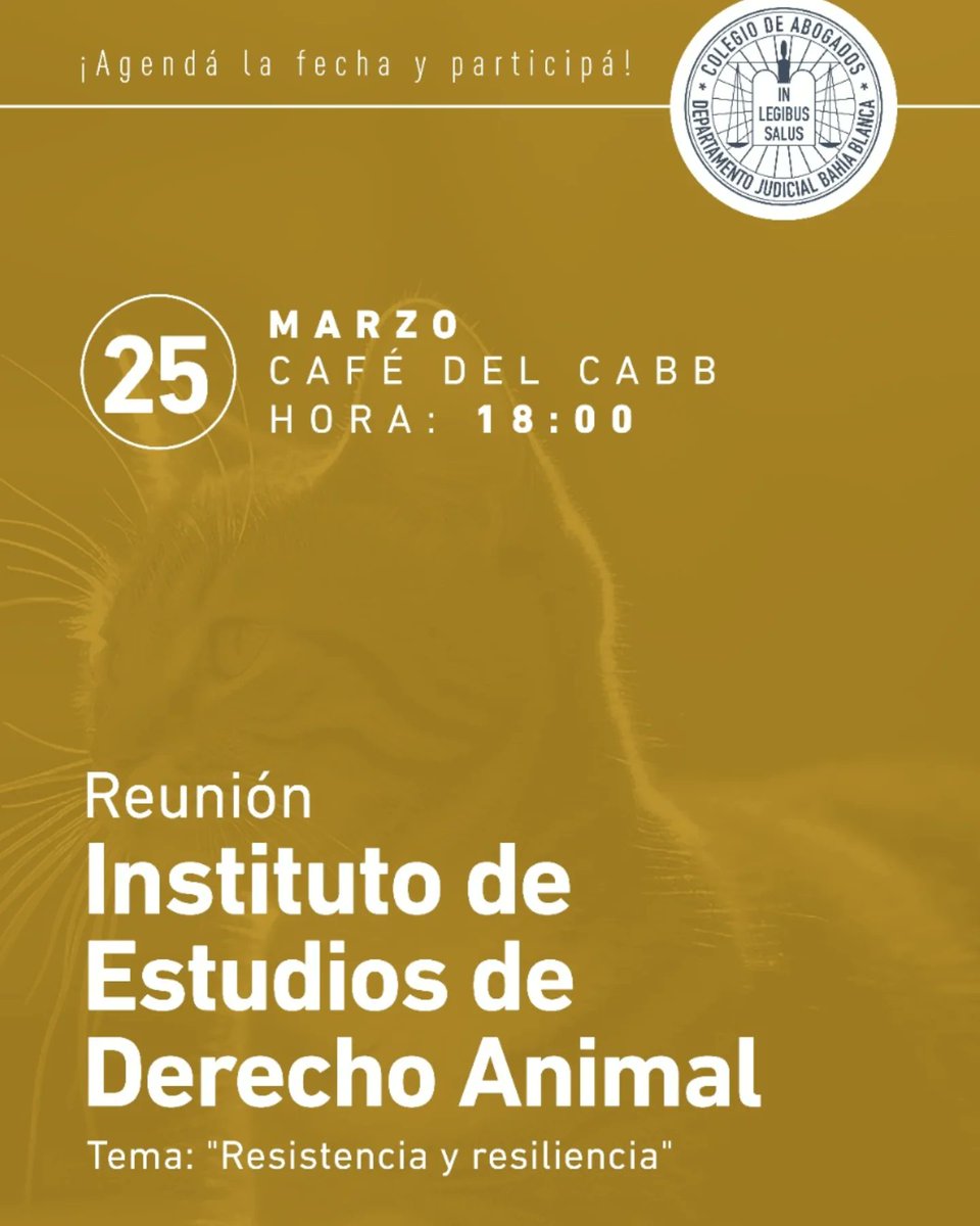 #Repost @ieda.cabb
Porque la VIDA continúa y nos reclama, nosotros también seguimos. Para todos los interesados en aprender juntos sobre el Derecho Animal (DA) y los derechos de los otros animales(ddaa). Los esperamos.<a href="/colegioabb/">C.A.B.B.</a>