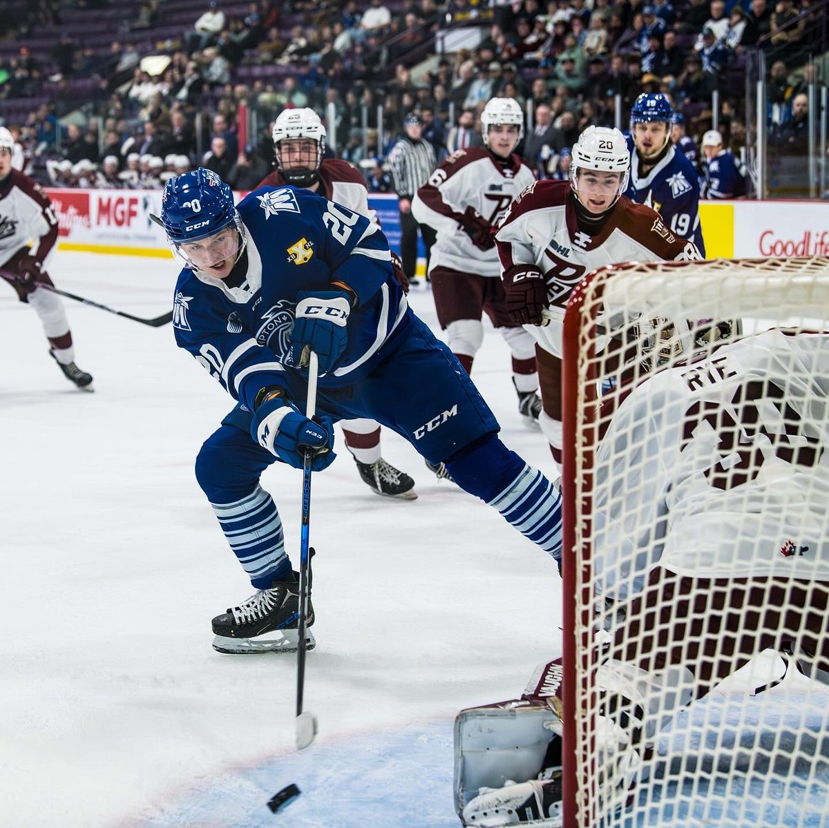 Frozen moments from a Friday night matchup between the <a href="/PetesOHLhockey/">Peterborough Petes</a> and <a href="/OHLSteelheads/">Brampton Steelheads</a>.

<a href="/OHLHockey/">Ontario Hockey League</a>