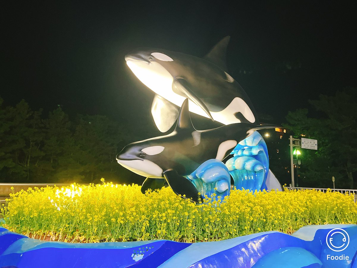 marukoayataka's tweet photo. 推しと一緒に旅をする系のものに初めて参加したのですが、こんなにも楽しいものなのですね��

オタクたちとも���しぶりにお話しできてとてもとてもいい一日でした🫶

 #HIGH_FLYERバスツアー https://t.co/kNLDDCHqne