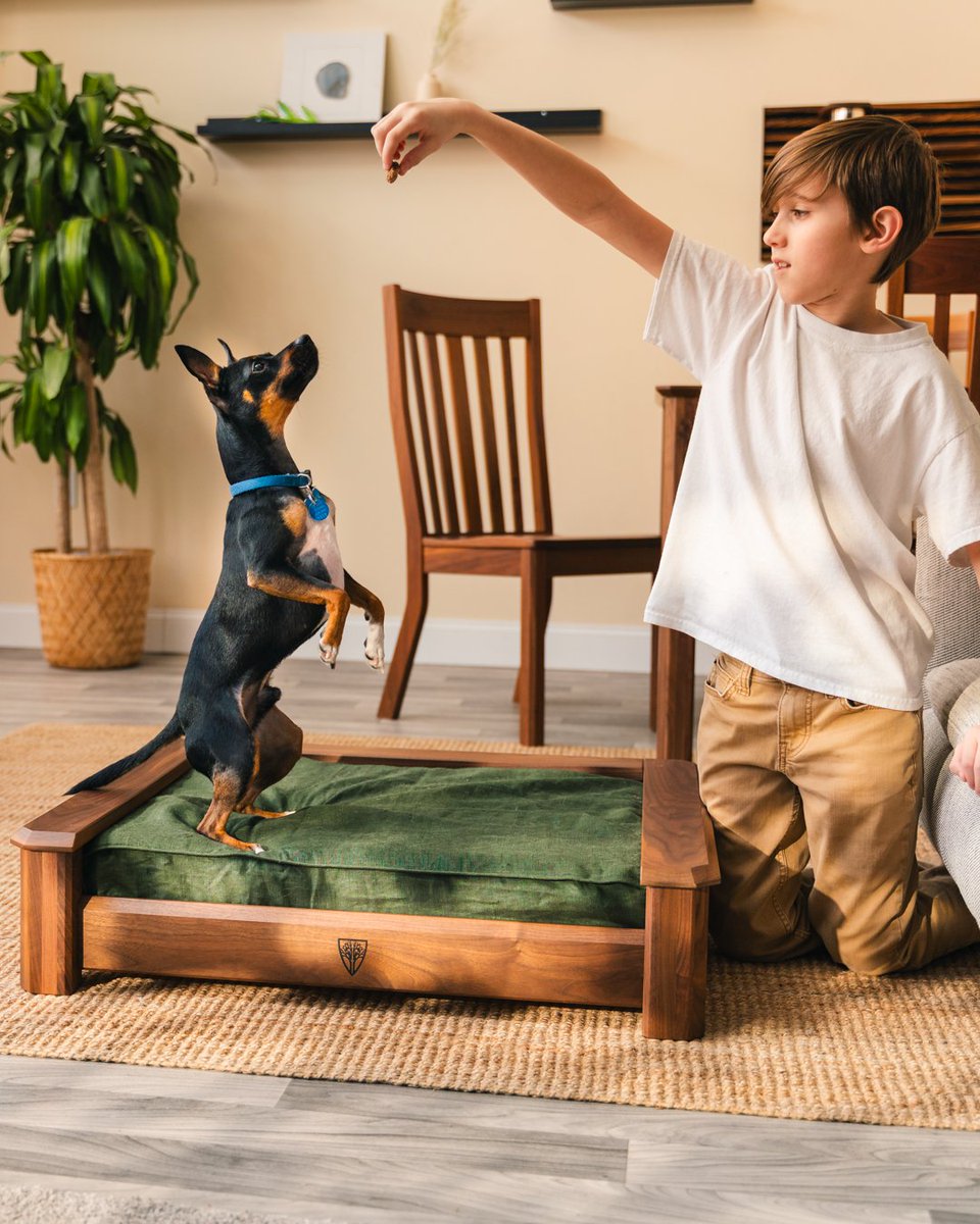 Hot days, cold nights—our Double-Sided Dog Bed Cushion has it covered! 💤