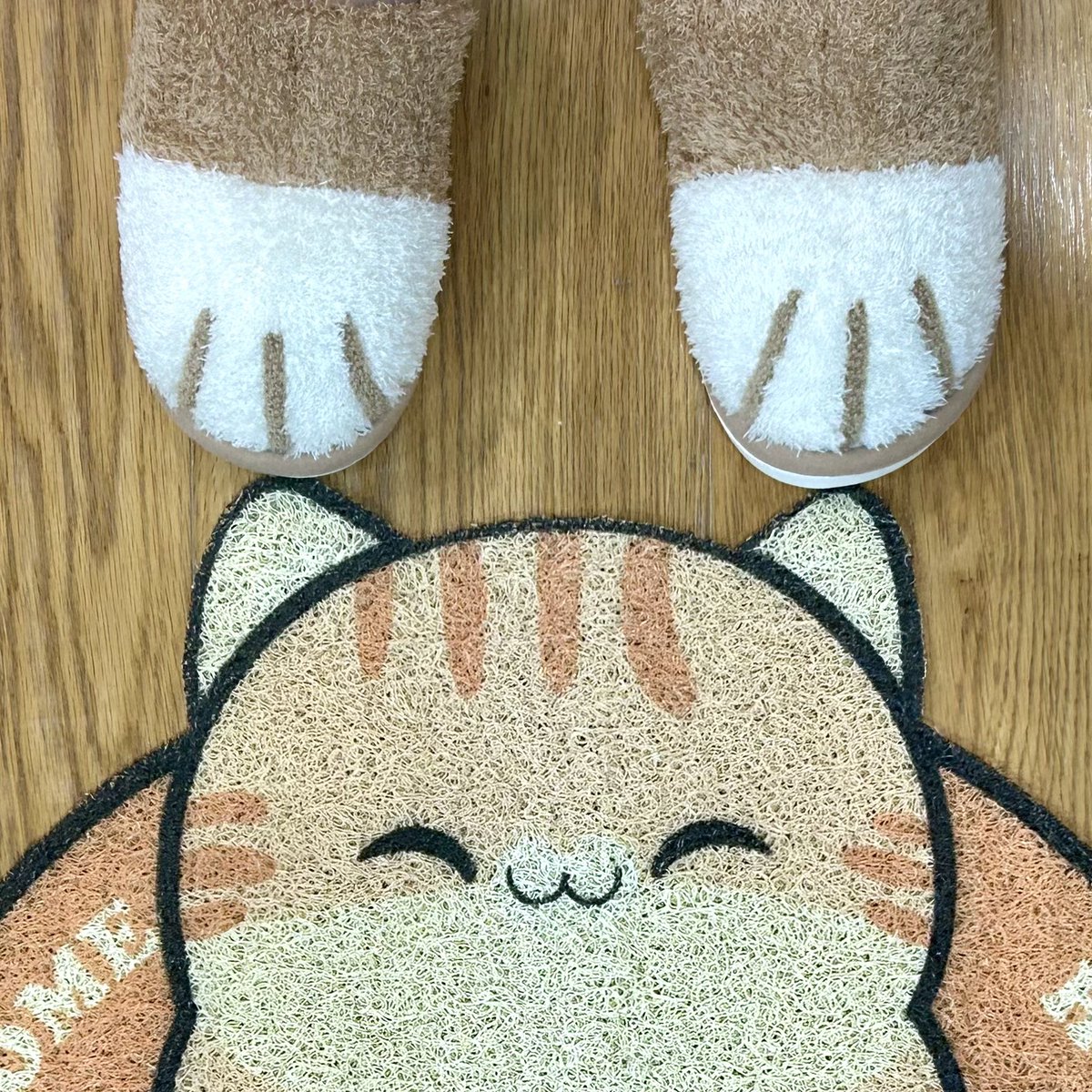 bun 🐱🍞 tweet media