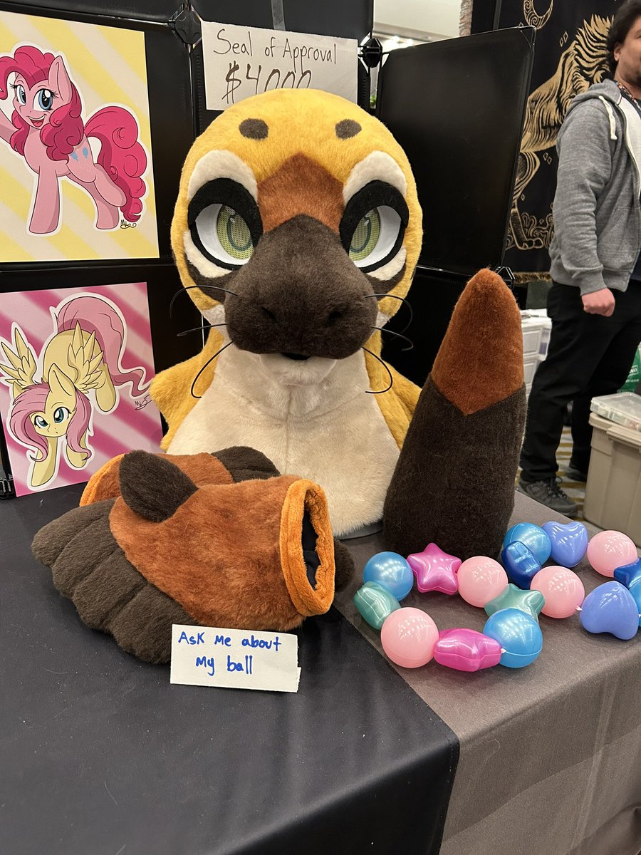 Scarlet Wings Fursuits tweet media