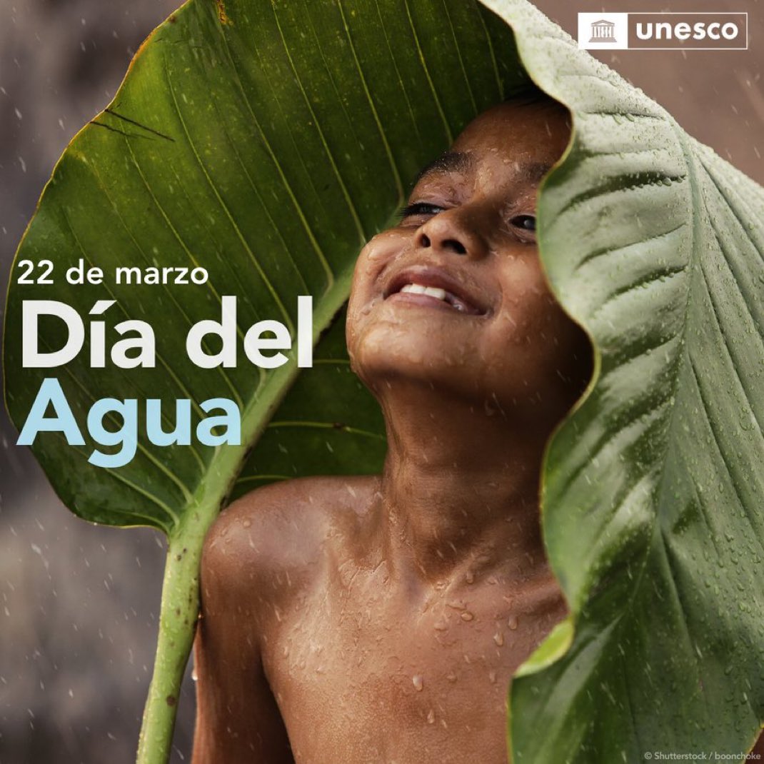 porktendencia's tweet photo. “Agua”:
Porque hoy se conmemora el #DíaMundialDelAgua. https://t.co/FU2kAOmP01