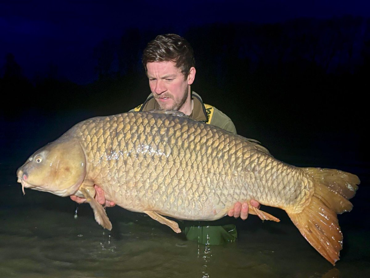 Lee John barratt tweet media