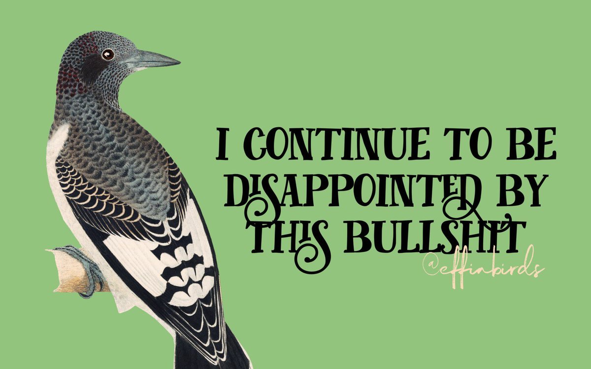 Effin' Birds (@effinbirds) on Twitter photo 